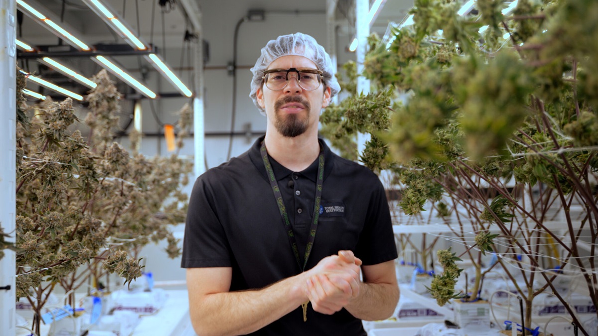 LightSky Farms Collaborates with Fluence on Innovative LED Lighting Strategy