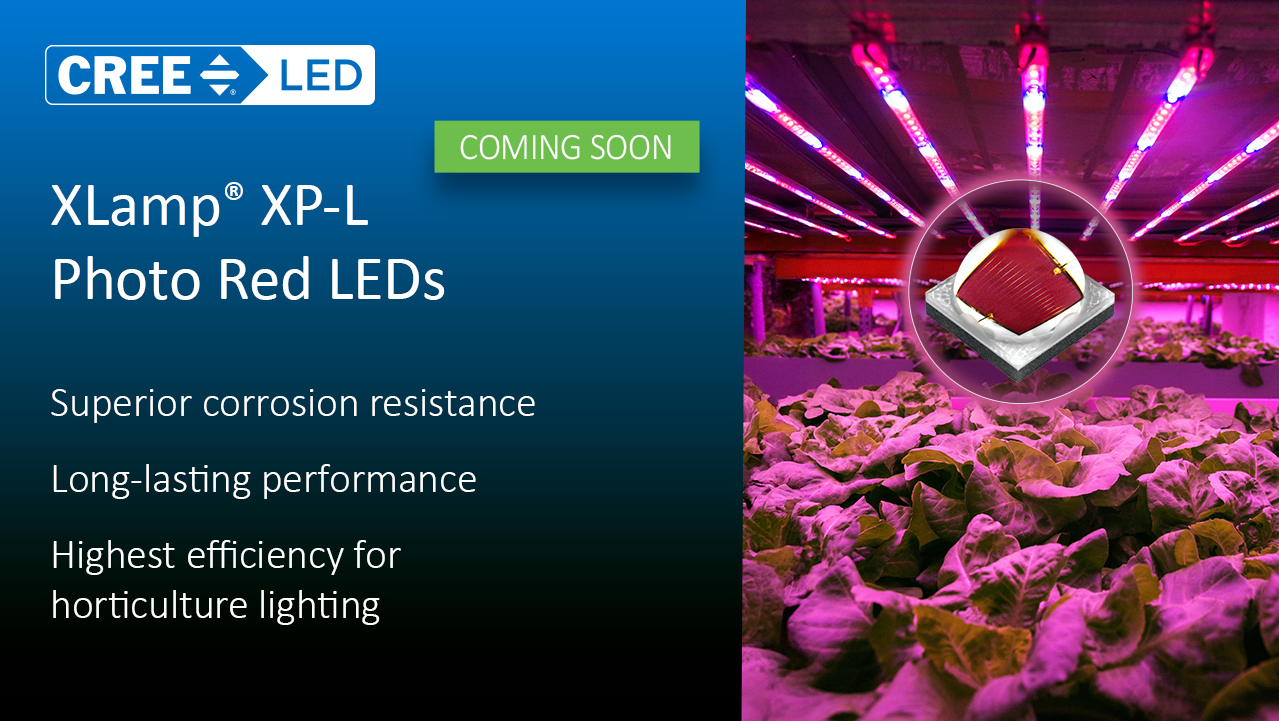 XLamp® XP-L Photo Red S Line LEDs