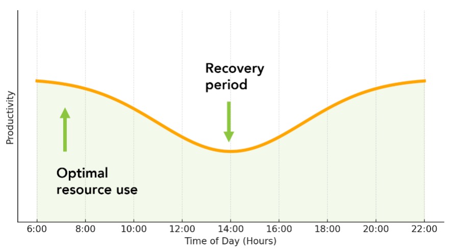 Plants use light differently throughout the day and growth stages. Measuring these changes helps optimize lighting, reducing costs while ensuring quality and yield.