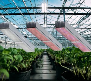 Heliospectra MITRA X C3 Multi-Channel Dynamic Spectrum LED Grow Light