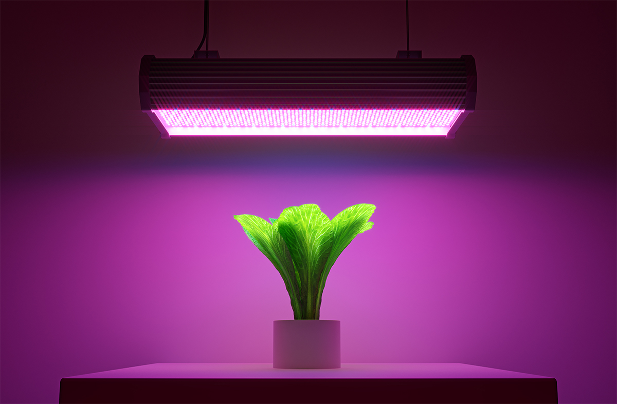 Horticulture LEDs | LED Horticulture Lighting - Open Lighting Product Directory (OLPD)